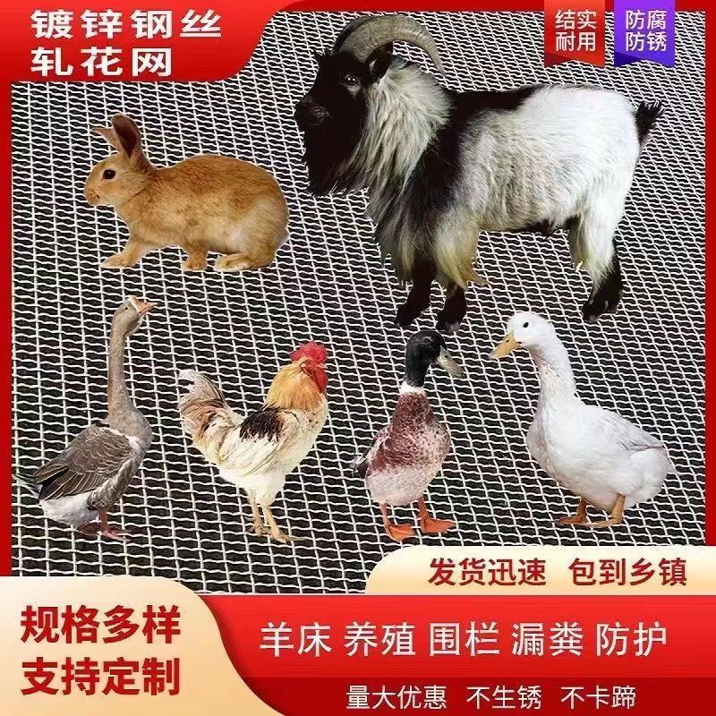 热镀锌钢丝网轧花网不锈钢网装饰防护网防锈养殖围栏网筛沙轧花网