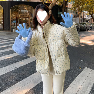 ����������ܽ�nϵС�黨���I�̿��޷�����������WԺ�L����Ů