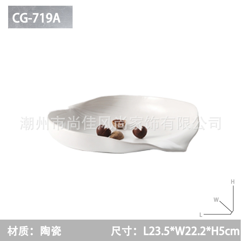 CG-719A