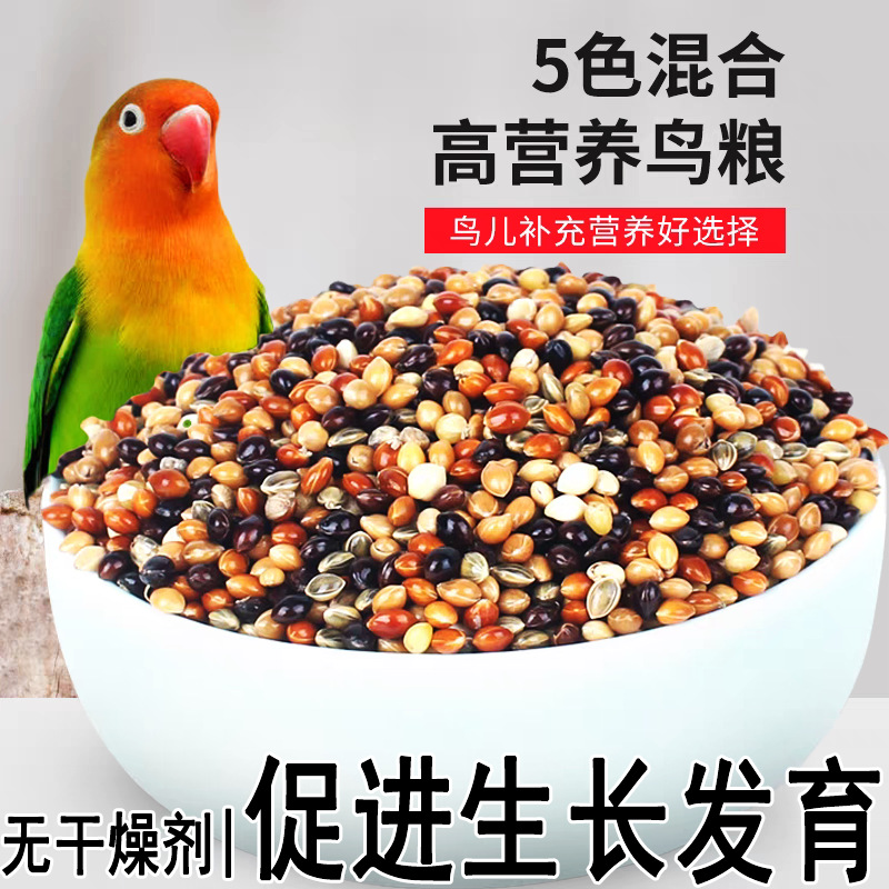 Five-Color Millet, Red Millet, White Millet, Special Feed for Budgerigars and Cockatiels
