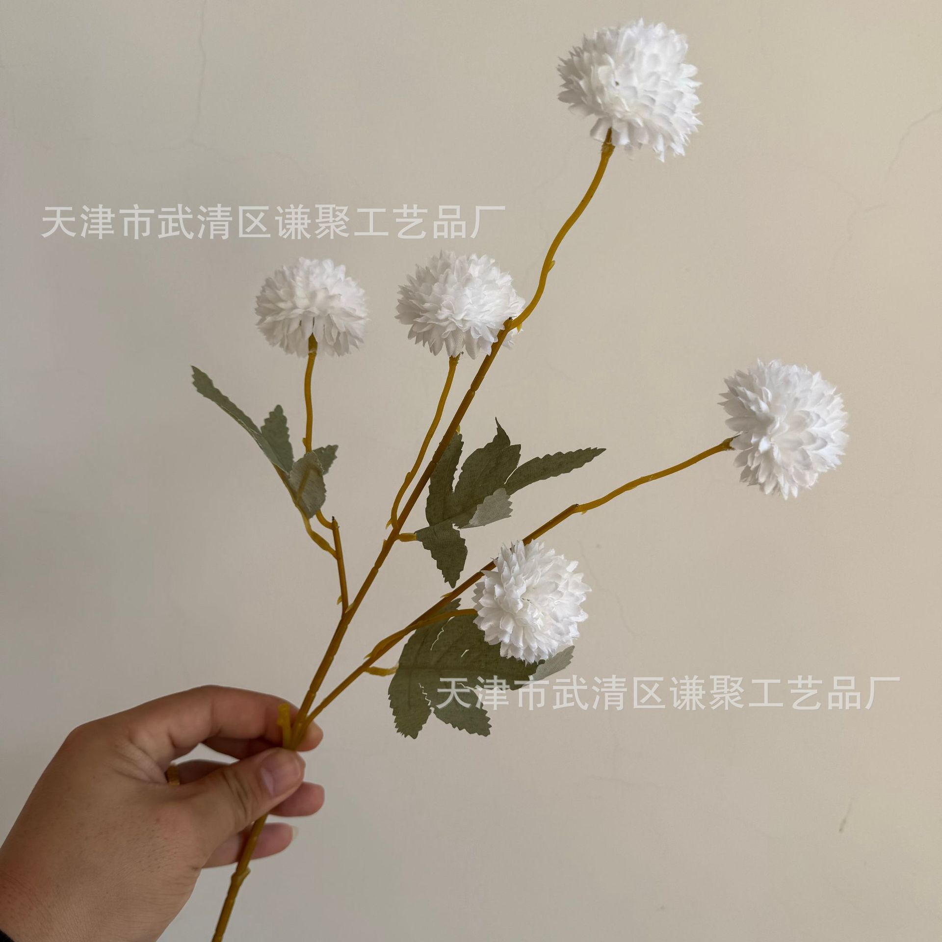 화이트
