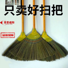 扫把神器不沾头发扫地扫帚八钉芒草扫把室内工厂学校地面专用