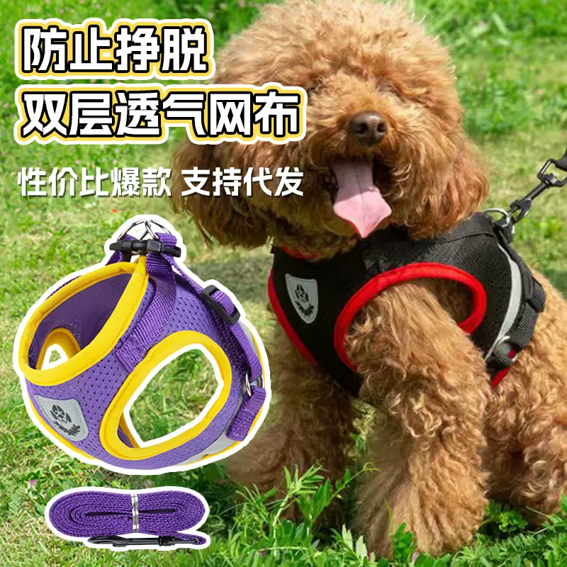 跨境狗狗牵引绳胸背可爱背心式狗绳宠物牵引p绳猫咪用品批发伸缩