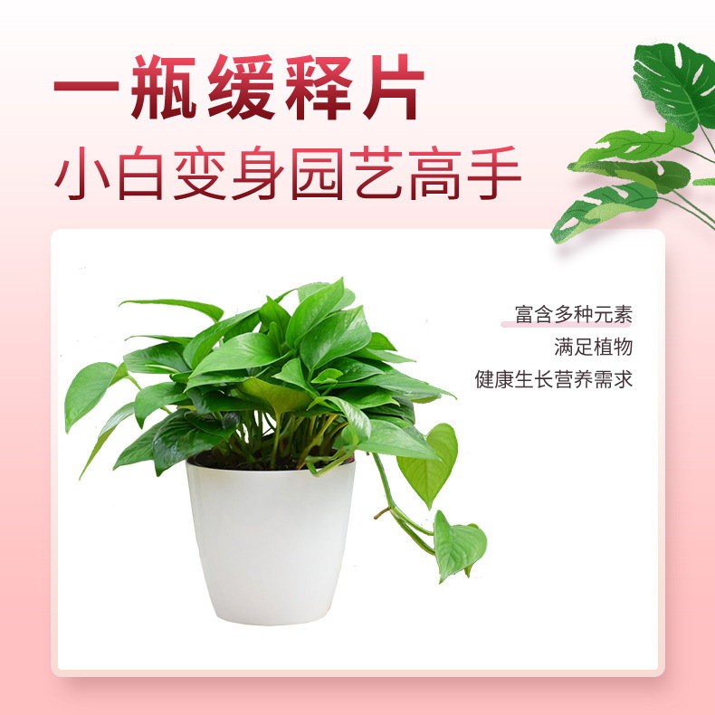 Aishangke 家庭用植物栄養緩効性錠剤ユニバーサル緩効性肥料栄養錠剤家庭用花肥料鉢植え肥料|undefined