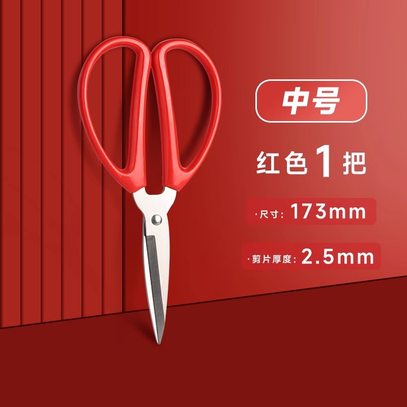 중간 크기-1줌/선물 없음