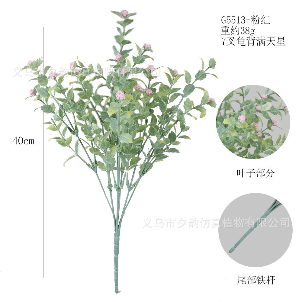 G5513-분유 7갈래 거북등 안개꽃