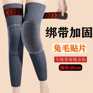 �¿ů��q�oϥ���L���������Ӻ��ﶬ���Ϻ����P�����������LͲ