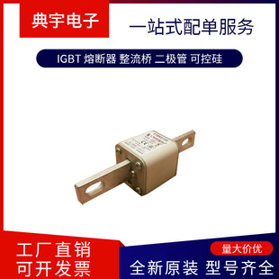 Fuse 170m3722 3723 3738 3739 3740 3741 3742 3743 Complete Models