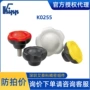 五星德国带盖系列把手