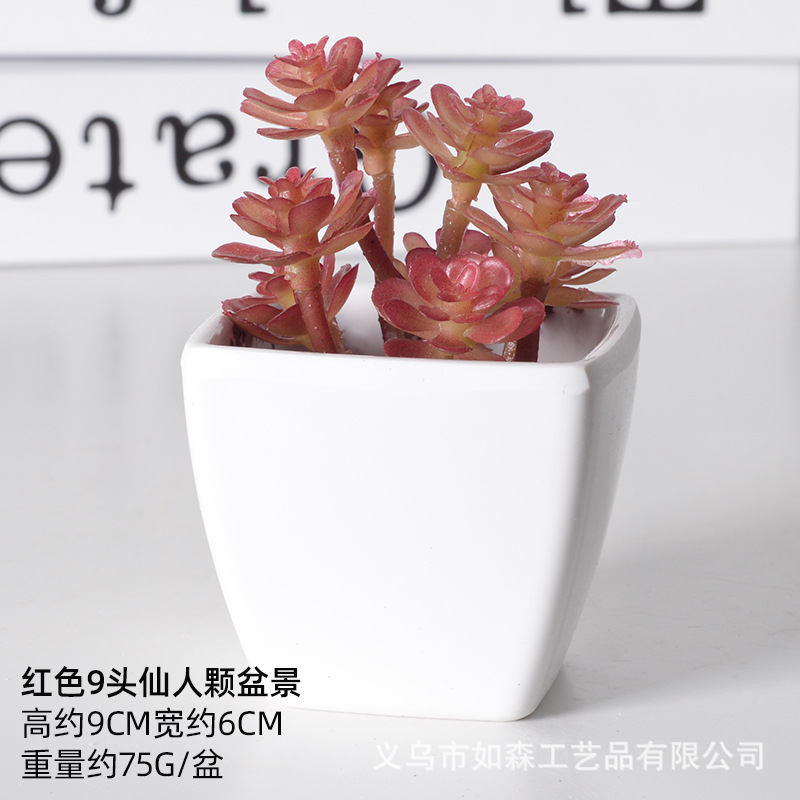 Simulación de plástico carnoso bonsai flor falsa combinación oficina interior escritorio plantas verdes pequeños adornos plantas artificiales al por mayor image 15