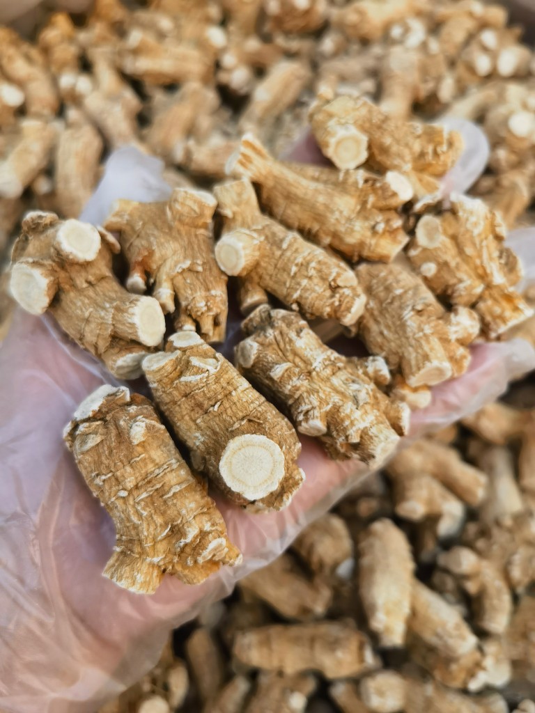 American Ginseng Root Xi Yang Shen Panax quinquefolius Whole Roots 500g Canadian Grown overview
