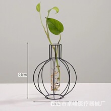 ͸�����ڲ���ˮ���Թ�ƽ��ֲ�ﻨƿ���������ڼ�