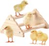 Wooden toy for training, pet, rooster, wholesale