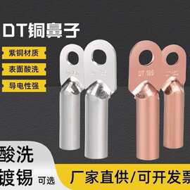 dt铜鼻子开口鼻 电力电缆铜接线端子 快速连接器接线鼻耳接线端子
