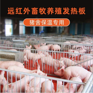 仔猪用电热板家兽宠物养殖场加热板保温板碳纤维猪仔碳晶耐高温