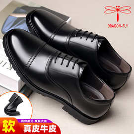 Fe【1599人】蜻蜓牌皮鞋男商务正装2025新款夏季镂空休闲鞋军