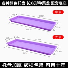 塑料花盆托盘地面长方形接水盘彩色花盆长形大号种菜盆垫托盘底座