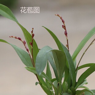 ���������������m�tɫ���tɺ�����滨���m�������҃��̨�����՚�