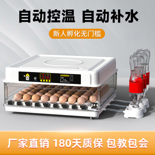 Free Shipping Incubator Small Household Incubator Automatic Intelligent Incubator Small Chicken Duck Goose Pigeon Parrot Breeding Egg Hatching