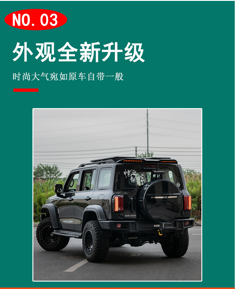 Suitable for 13-24 Models of Tank 300 Spare Tire Cover, Large g Model Tank 300 Spare Tire Cover with Camera Hole