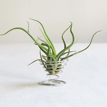 ���՚��P�������h�՚��P��ֲ��18���Լܲ��b�֧�܈@ˇ�������