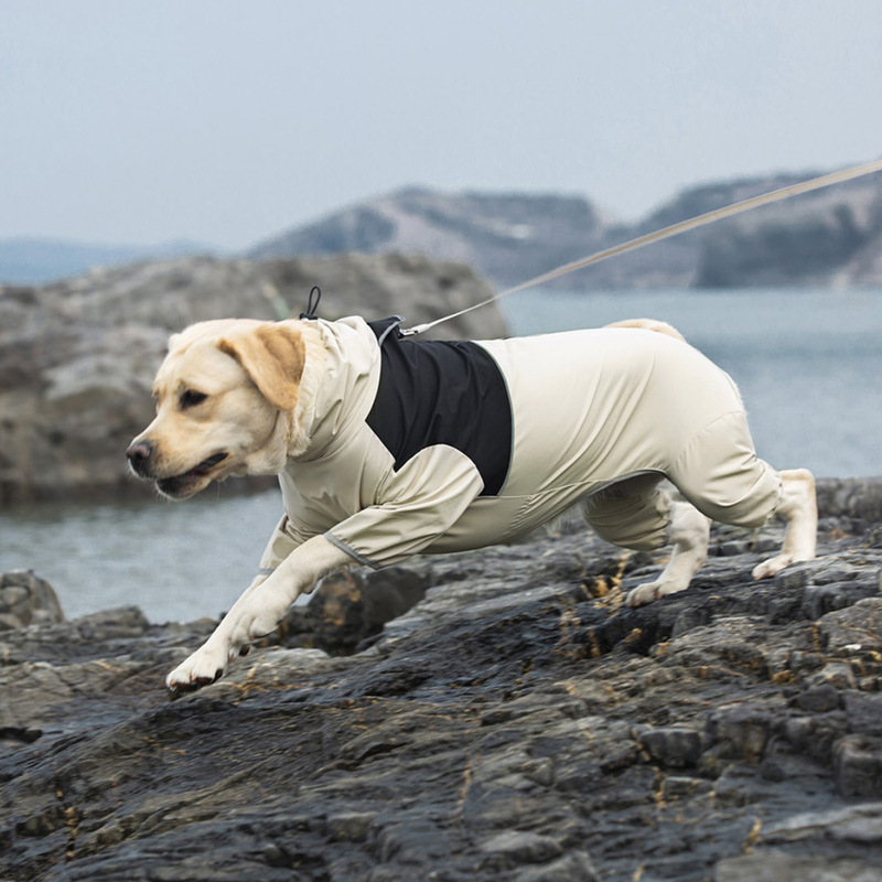 中大型犬クロスボーダーラブラドール金毛柴犬四脚防水ペット犬犬レインコート突撃服卸売り|undefined
