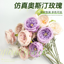 ����W˹��õ�廨��Y�ҾӾƵ����^���滨�b��bW˹͡����õ��