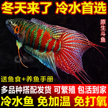 �Ї����~���~Ұ���ղ���ˮ�~���Ӝز��������B���ֽ����~��Ʒ�~��