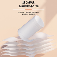 麗邦衛生紙母嬰可濕水捲紙無芯2250克18大卷家用廁紙手紙一件代發