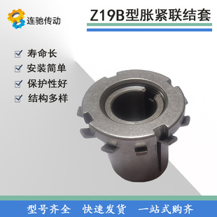 Z13�q�o�� Z19B-14*25 Û�o�B���� Û�� Û�o�� �q�o�Y��/�F؛