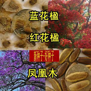 �²��{��麷N���{�F��t��麘�N�P��ľ�N�ӻ��P�˽��P��
