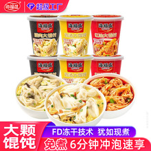 馄饨速食冲泡红油抄手宿舍免煮早餐冻干复水云吞大混沌猪肉馅饺子