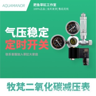 �����X�Ͻ�늴��y�ݸ�CO2�p���� ������̼�p��p���y