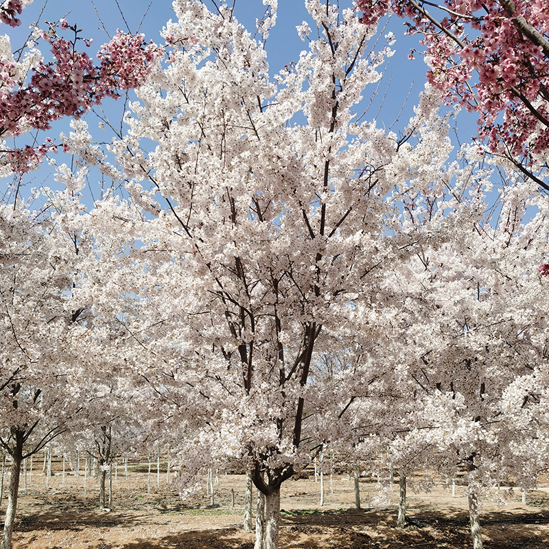 微信图片_20230818145859 副本.jpg