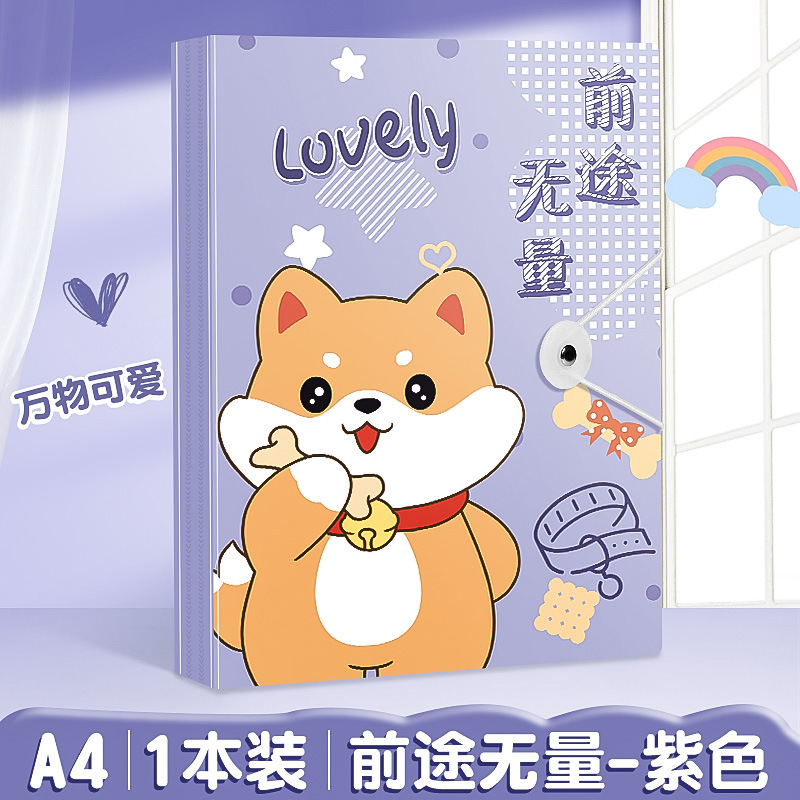 보라색 [버클 정보 북 포함]