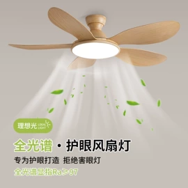 吸顶灯;吊灯;风扇灯