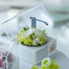 留声机蓝牙玫瑰永生花蓝牙音响送女友朋友老婆生日礼物纪念情人节