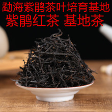 云南茶叶 紫鹃红茶 花果高香型红茶 滇红茶散茶500克袋装产地批发