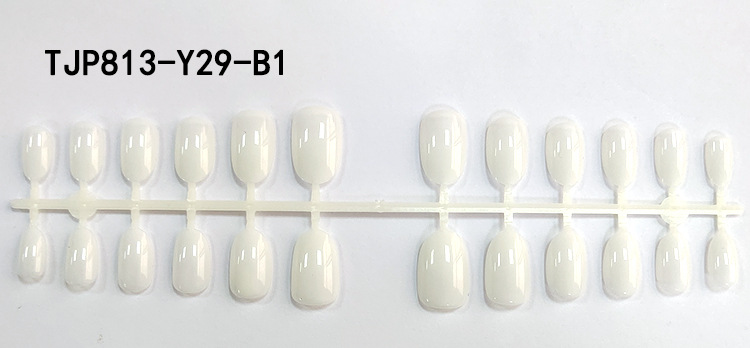 TJP813-Y29-B1