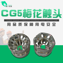 正品CG5-2000A 48片捆绑式VS1-12KV ZN63手车式真空断路器梅花动