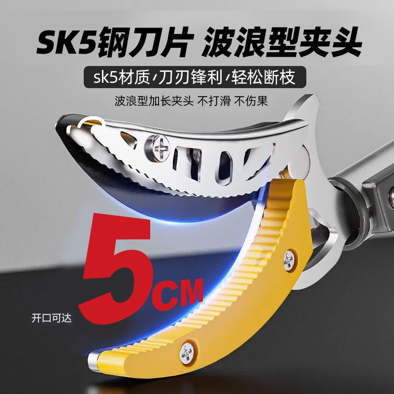 送料無料 果物摘みツール 5m ライチとヤマモモの剪定ばさみ 2段式 3段式伸縮ロッドはさみ 高所果物摘みツール|undefined