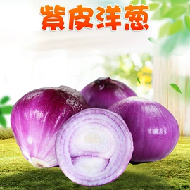 代用/养生茶;苹果;花果茶