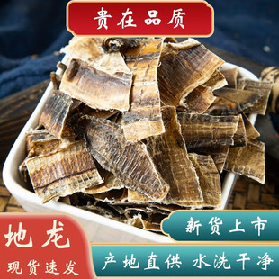 地龙中药材500克精选全开广地龙干全开整条地龙蚯蚓地龙干干净无-阿里巴巴