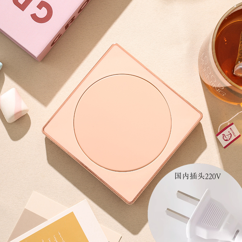 산수유 분말 220V 국내 버전