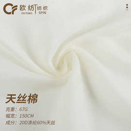 天丝棉20D涤纶天丝亲肤欧根纱面料 春夏女装衬衫连衣裙汉服布料