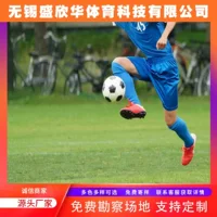 Футбольное поле с искусственным газоном Shengxinhua, элегантный футбольный клуб, молодежный футбольный клуб, школьный общественный