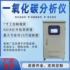 高温一酸化炭素分析計 ガス分析計 CO/O2 酸素検知器 ボイラー用ガス監視システム