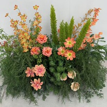 狐尾天门冬仿真森系绿植叶材韩式绿叶假花婚庆插花装饰布置吊顶