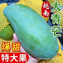 新鲜大芒果大青芒果爆甜金煌芒核薄无丝当季水果越南其他支持现摘