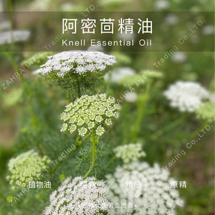 Ħ��� | �M�� ������η�����